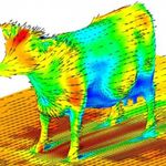 Aerodinámica de una vaca Aerodinámica de una vaca