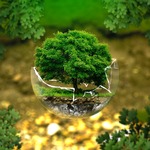 ¿Qué es el 'greenwashing'?