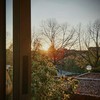Amor a primera vista: La Pinza