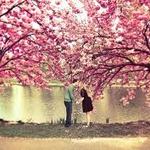 Primavera :) Primavera :)