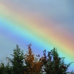 Arco Iris Arco Iris