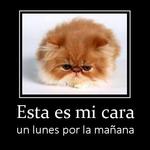 EL HORROR DE UN LUNES POR LA MAÑANA