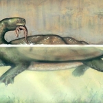 Una tortuga gigante del tamaño de un coche