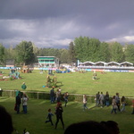copa del rey de caballo
