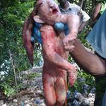 Extraña criatura crea panico en Haiti Extraña criatura crea panico en Haiti
