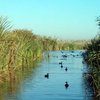 Visita cultural a L`albufera
