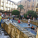 La fiesta de la espuma La fiesta de la espuma