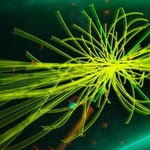 Las claves del bosón del profesor Higgs