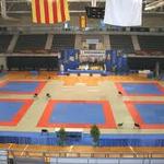 Tatami de Judo Tatami de Judo