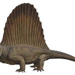 El dimetrodon