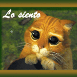 Lo siento :(