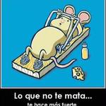 Vuelve... Vuelve...