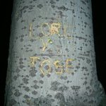 Ella Ella