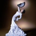 EL FLAMENCO ES ...