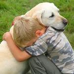 LOS PERROS TU AMIGO MAS FIEL LOS PERROS TU AMIGO MAS FIEL