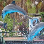 FOTOGRAFÍAS VARIAS 1.0