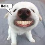 HOLA CHICOS 