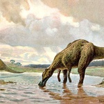 ENCUENTRAN RESTOS DE PIEL DE DINASAURIOS ENCUENTRAN RESTOS DE PIEL DE DINASAURIOS