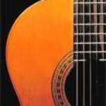 MI PASIÓN POR LA GUITARRA ESPAÑOLA MI PASIÓN POR LA GUITARRA ESPAÑOLA