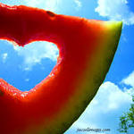 Summer love Summer love