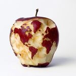 La comida es un arte La comida es un arte