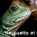 he vuelto, y nadie podrá detenerme
