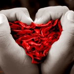 Pequeños detalles del amor Pequeños detalles del amor
