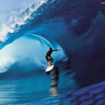 EL SURF