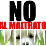 Crueldad con los animales