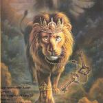 el leon del rap (rocky tronilaco)