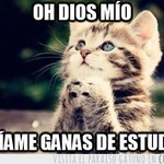Estudiar para llegar a tener un buen futuro. Estudiar para llegar a tener un buen futuro.