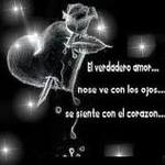 el amor el amor