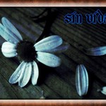 Sin vida...