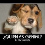 Mi primer post.