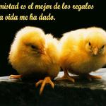 Los amigos Los amigos