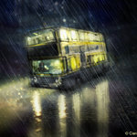~BUS~ ~BUS~