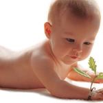 LA VIDA ANTES DE QUE LLEGARAMOS