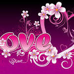 El Amor El Amor