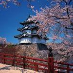 CURIOSIDADES DE JAPON
