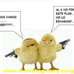 POST PARA POLLOS 