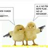 POST PARA POLLOS 