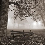 El sueño de una noche oscura: