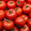 Toma Tomate Tómalo iaiao