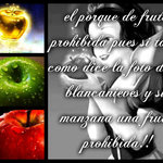 el porque de fruta prohibida?? el porque de fruta prohibida??