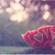 tiify :) <3