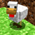 daviddof pollo crew