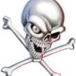 bones