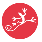 salamandra sigüenza