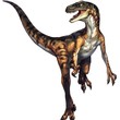 dino055