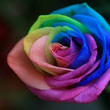 tere